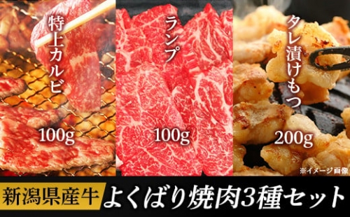 76-74新潟県産牛（長岡産） よくばり焼肉3種セット