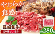 長崎和牛 切り落とし（赤身）280g 【佐世保エスディー食品株式会社】 [DBW031]