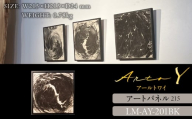 アートパネル【A-rto Y(アールトワイ)】215サイズ LM-AY-201BK