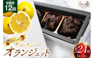 チョコ オランジェット サマー オレンジ 5粒入り 2箱 セット 12回 定期便 総計 24箱 [心優-Cotoyu Sweets- 長崎県 平戸市 hr42bgy420273] チョコレート ショコラ ピール 柑橘 スイーツ