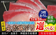 【12/20～翌1/5お届け】壱岐島産天然寒ブリ よか嫁ぶり（8キロ台・3枚おろし）《壱岐市》【壱岐島 玄海屋】 [JBS145]