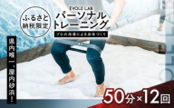 エボレラボ パーソナルトレーニング 12回分プロの指導による身体づくり(トレーニング：1回×約50分) 熊本県 菊陽町【エボレジャパン株式会社】 [BHBC008]