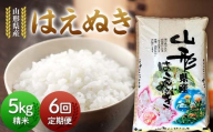 【定期便6回】令和7年度 山形県産 はえぬき 5kg×6回 合計30kg 精米 白米 お米 米 米米 新米 ご飯 ごはん ブランド米 銘柄米 2025年産 令和7年度産 家庭用 自宅用 贈答用 お取り寄せ 食品 定期便 頒布会 毎月届く 山形県 戸沢村 F7W-0124