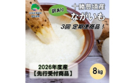 【訳あり】十勝豊頃産ながいも8.0kg 【2026年初冬出荷開始】【定期便3回 12月・2月・4月発送】（先行予約）【植村農場】