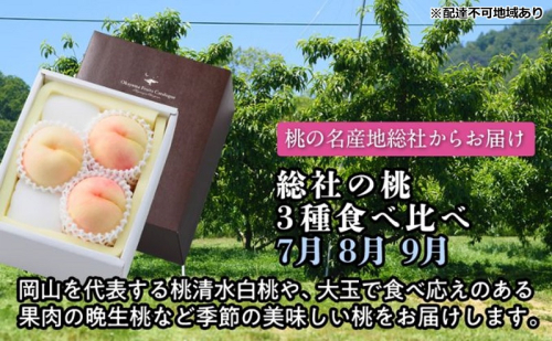 【2026年度発送】総社の桃 3種 食べ比べ 3回 お届け 定期便 （7月・8月・9月） もも モモ 岡山県産 国産 フルーツ 果物 2394096 - 岡山県玉野市