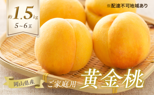 桃 2026年 先行予約 ご家庭用 黄金桃 5～6玉 合計約1.5kg もも モモ 岡山県産 国産 フルーツ 果物 ギフト 2394100 - 岡山県玉野市