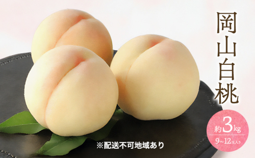 桃 2026年 先行予約 白桃 3kg 9～12玉 もも モモ 岡山 国産 フルーツ 果物 ギフト 桃茂実苑 2394108 - 岡山県玉野市