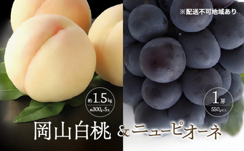 桃 ぶどう 2026年 先行予約 白桃 5玉 合計約1.5kg （1玉 約300g） ニュー ピオーネ 1房 550g もも 葡萄 詰合せ 岡山 国産 フルーツ 果物 ギフト 桃茂実苑 2394109 - 岡山県玉野市
