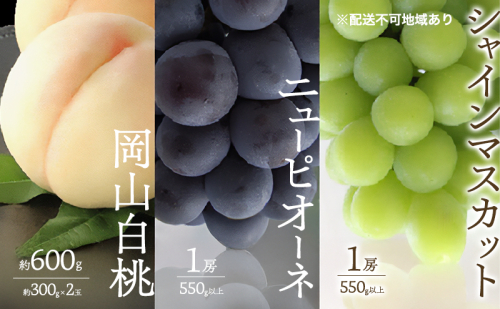 桃 ぶどう 2026年 先行予約 白桃 2玉 合計約600g （1玉約300g） シャインマスカット 晴王 ニューピオーネ 各1房 550g以上 もも 葡萄 詰合せ 岡山 国産 フルーツ 果物 ギフト 桃茂実苑 2394110 - 岡山県玉野市