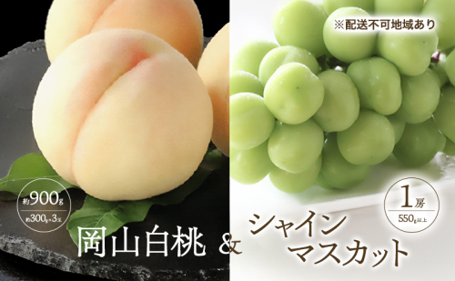 桃 ぶどう 2026年 先行予約 白桃 3玉 合計約900g （1玉約300g） シャインマスカット 晴王 1房 550g以上 もも 葡萄 詰合せ 岡山 国産 フルーツ 果物 ギフト 桃茂実苑 2394112 - 岡山県玉野市