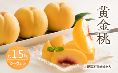 桃 2026年 先行予約 黄金桃 1.5kg 5～6玉 もも モモ 岡山 国産 フルーツ 果物 ギフト 桃茂実苑 2394114 - 岡山県玉野市