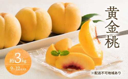 桃 2026年 先行予約 黄金 桃 3kg 9～12玉 もも モモ 岡山 国産 フルーツ 果物 ギフト 桃茂実苑 2394116 - 岡山県玉野市