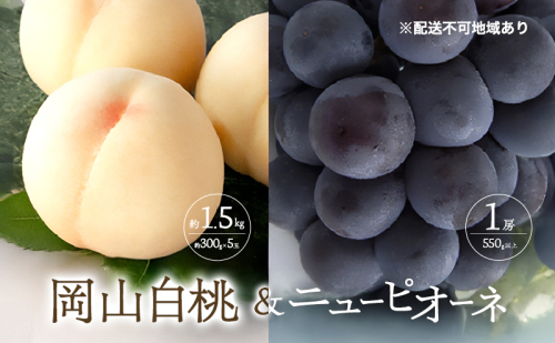 桃 ぶどう 2026年 先行予約 清水 白桃 5玉 約1.5kg 1玉約300g ニュー ピオーネ 1房 550g以上もも 葡萄 詰合せ 岡山 国産 フルーツ 果物 ギフト 桃茂実苑 2394122 - 岡山県玉野市