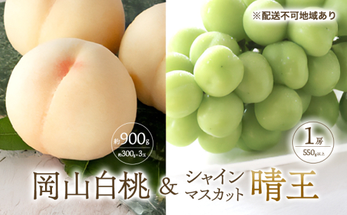 桃 ぶどう 2026年 先行予約 清水 白桃 3玉合計 約900g （1玉約300g） シャインマスカット 晴王 1房 550g以上もも 葡萄 詰合せ 岡山 国産 フルーツ 果物 ギフト 桃茂実苑 2394123 - 岡山県玉野市