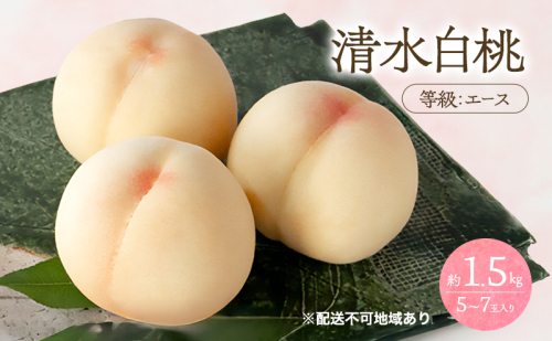 桃 2026年 先行予約 清水 白桃 等級 エース 約1.5kg 5～7玉入りもも モモ 岡山 国産 フルーツ 果物 桃茂実苑 2394124 - 岡山県玉野市