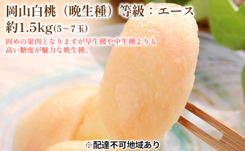 固めの 桃 2026年 先行予約 白桃 晩生種 等級 エース 約1.5kg  5～7玉 もも モモ 岡山 国産 フルーツ 果物 ギフト 桃茂実苑 2394125 - 岡山県玉野市