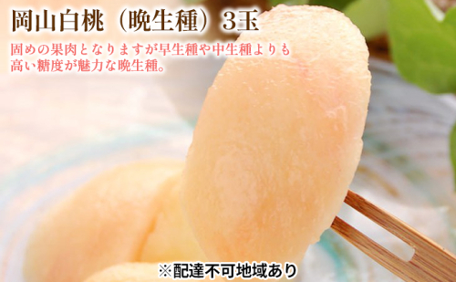 固めの 桃 2026年 先行予約 白桃 晩生種 3玉 合計約900g （1玉約300g） もも モモ 岡山 国産 フルーツ 果物 ギフト 桃茂実苑 2394126 - 岡山県玉野市