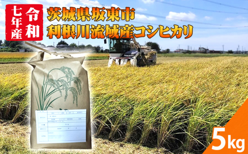 No.866 【令和7年米】茨城県坂東市利根川流域産コシヒカリ5kg ／ 令和7年 新米 米 お米 こめ コメ 精米 白米 ご飯 国産米 5kg 5キロ コシヒカリ こしひかり 甘み 粘り 香り ツヤ おいしい お取り寄せ 産地直送 産直 茨城県 2394142 - 茨城県坂東市