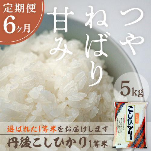 【定期便6回】令和8年産 丹後こしひかり 5kg×6ヵ月 1等米 お米 コメ こめ 丹後 コシヒカリ 精米 ふるさと 納税 コシヒカリ 精米 ふるさと 納税 こしひかり 精米 ふるさと 納税 米 送料無料
 2394381 - 京都府京丹後市
