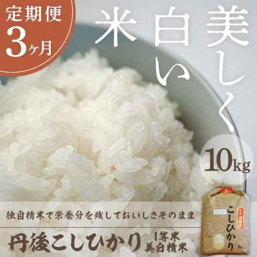 【定期便3回】令和7年産 美白精米 丹後こしひかり 10kg×3ヵ月 1等米
 2394444 - 京都府京丹後市