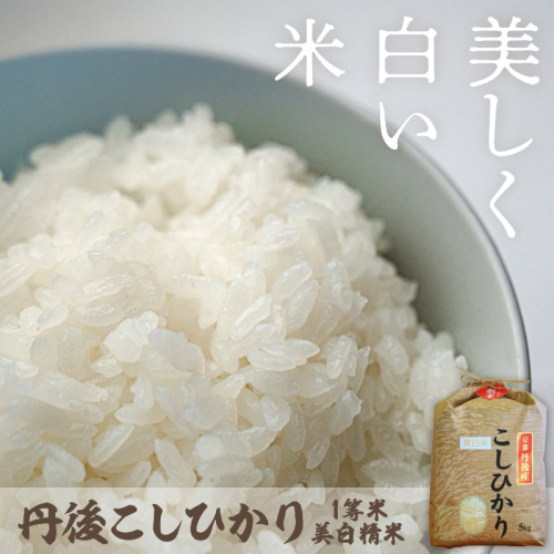 【定期便6回】令和7年産 美白精米 丹後こしひかり 3kg×6ヵ月 1等米
 2394451 - 京都府京丹後市