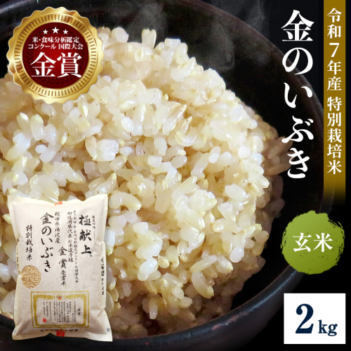 令和7年産米 冷めても美味しい玄米 特別栽培米 金のいぶき 2kg 玄米 米 農家直送 受賞歴多数 ＼自然由来の漢方栽培／ ふるさと 人気 ランキング【渡部 浩見】[B2105] 2394519 - 秋田県湯沢市