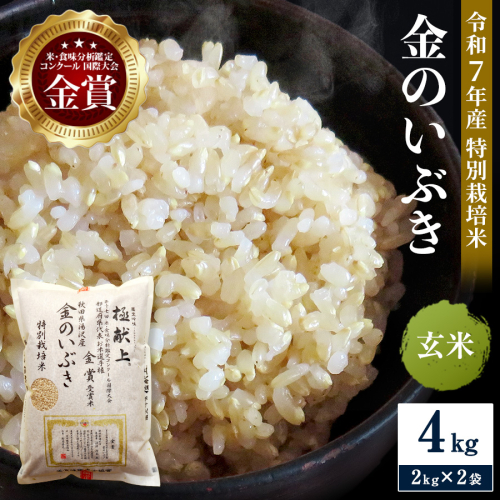 令和7年産米 冷めても美味しい玄米 特別栽培米 金のいぶき 4kg（2kg×2袋）玄米 米 農家直送 受賞歴多数 ＼自然由来の漢方栽培／ ふるさと 人気 ランキング【渡部 浩見】[B8-2102] 2394522 - 秋田県湯沢市