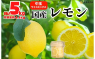 レモン 中玉 国産 箱込5kg(内容量約4.4kg) 秀品 L 2L 3L サイズミックス 和歌山県有田産 【みかんの会】