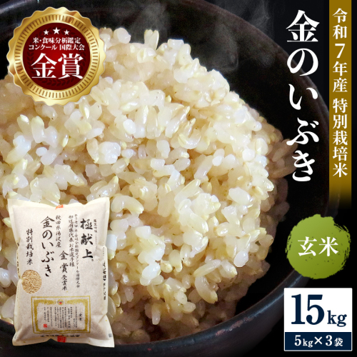 令和7年産米 冷めても美味しい玄米 特別栽培米 金のいぶき 15kg（5kg×3袋）玄米 米 農家直送 受賞歴多数 ＼自然由来の漢方栽培／ ふるさと 人気 ランキング【渡部 浩見】[D5-2101] 2394700 - 秋田県湯沢市