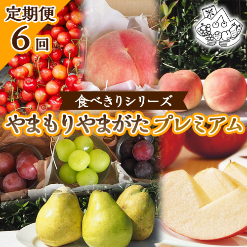 【定期便6回】★食べきりシリーズ★やまもりやまがたプレミアム【令和8年産先行予約】FS25-105 くだもの 果物 フルーツ 山形 山形県 山形市 2026年産 2394751 - 山形県山形市