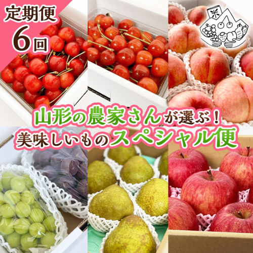 【定期便6回】山形の農家さんが選ぶ！美味しいものスペシャル便【令和8年産先行予約】FS25-107 くだもの 果物 フルーツ 山形 山形県 山形市 2026年産 2394757 - 山形県山形市