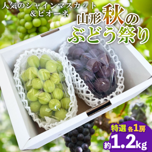 山形秋のぶどう祭り【シャインマスカット・ピオーネ 特選 2房】【令和8年産先行予約】FS25-108 くだもの 果物 フルーツ 山形 山形県 山形市 2026年産 2394759 - 山形県山形市