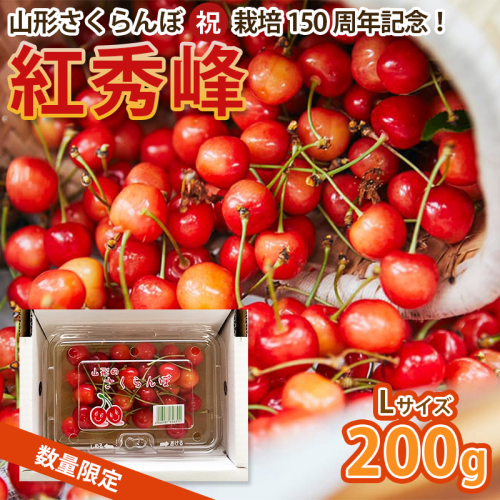 山形さくらんぼ (祝)栽培150周年記念！紅秀峰 200g L玉 数量限定！【令和8年産先行予約】FS25-109 くだもの 果物 フルーツ 山形 山形県 山形市 2026年産 2394760 - 山形県山形市