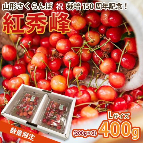 山形さくらんぼ (祝)栽培150周年記念！紅秀峰400g(200g×2パック) L玉 数量限定！【令和8年産先行予約】FS25-110 くだもの 果物 フルーツ 山形 山形県 山形市 2026年産 2394764 - 山形県山形市