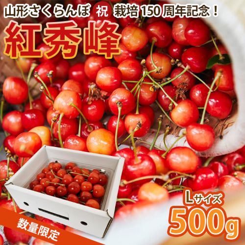 山形さくらんぼ (祝)栽培150周年記念！紅秀峰 500g L玉 数量限定！【令和8年産先行予約】FS25-111 くだもの 果物 フルーツ 山形 山形県 山形市 2026年産 2394765 - 山形県山形市