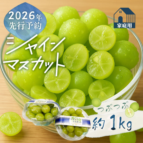 【2026年先行予約】ご家庭用つぶつぶ　シャインマスカット（約1.0kg）｜高糖度 種なし 甘い フルーツ 果物 葡萄 ブドウ ぶどう 産地直送 送料無料 山梨 都留市 2394767 - 山梨県都留市