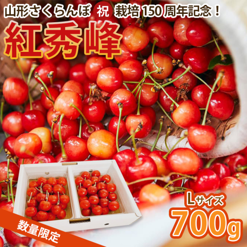 山形さくらんぼ (祝)栽培150周年記念！紅秀峰 700g L玉 数量限定！【令和8年産先行予約】FS25-112 くだもの 果物 フルーツ 山形 山形県 山形市 2026年産 2394768 - 山形県山形市