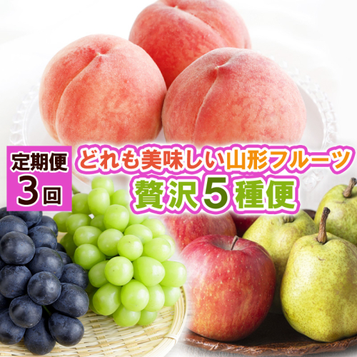 【定期便3回】どれも美味しい 山形フルーツ 贅沢5種便【令和8年産先行予約】FS25-122 くだもの 果物 フルーツ 山形 山形県 山形市 2026年産 2394771 - 山形県山形市