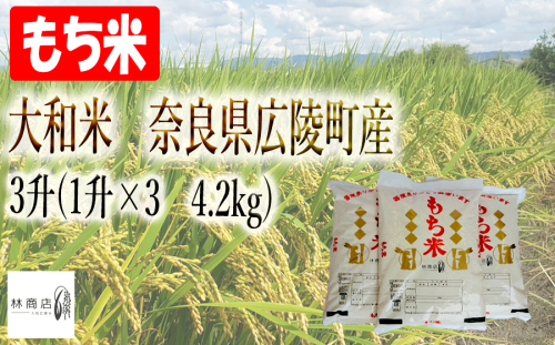 【令和7年度産】大和米　奈良県広陵町産　もち白米　3升(1升×3　4.2kg) 2394935 - 奈良県広陵町