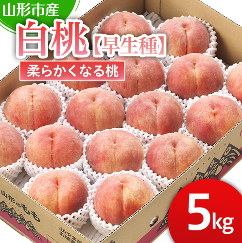 山形市産 白桃【早生種】「三郷・まどか・陽夏妃」柔らかくなる桃 5kg (13玉～18玉)【令和8年産先行予約】FS25-125 くだもの 果物 フルーツ 山形 山形県 山形市 2026年産 2394938 - 山形県山形市