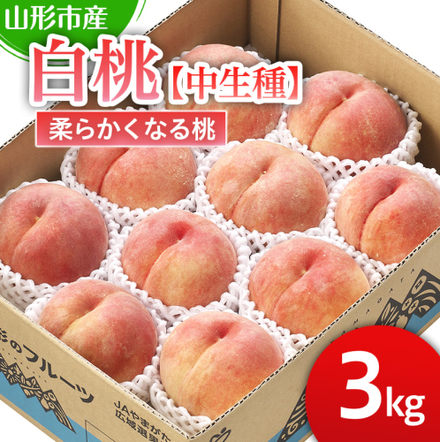 山形市産 白桃 【中生種】「かぐや・ゆうぞら・あぶくま」柔らかくなる桃3kg (8～11玉)【令和8年産先行予約】FS25-126 くだもの 果物 フルーツ 山形 山形県 山形市 2026年産 2394940 - 山形県山形市