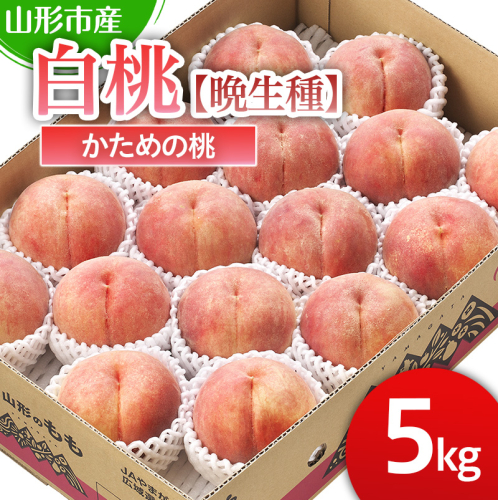 山形市産 白桃 【晩成種】「伊達白桃・白根白桃・伊達白桃」かための桃5kg 12～18玉【令和8年産先行予約】FS25-129 くだもの 果物 フルーツ 山形 山形県 山形市 2026年産 2394944 - 山形県山形市