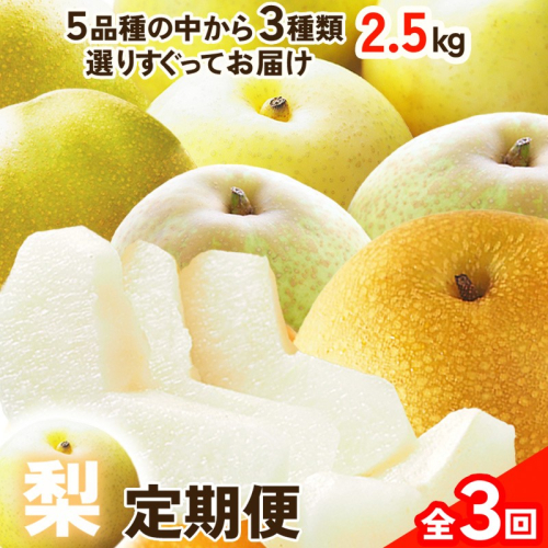 田園紳士厳選「梨好きさんのための定期便3回」（3品種（各約4〜6玉）×3回） 2394949 - 京都府京丹後市