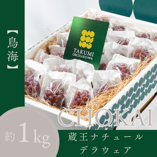 【鳥海 CHOKAI】蔵王ナチュールデラウェア 山形のデラウエア TAKUMI ORCHARD 99% ご家庭 M以上房サイズ混合 約1kg 山形 山形県 山形市 フルーツ 果物 くだもの 送料無料 ぶどう 葡萄 ブドウ デラウェア 減農薬【令和8年産先行予約】FS25-121 2394951 - 山形県山形市