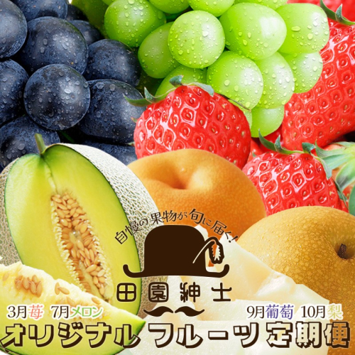 田園紳士厳選　オリジナルフルーツ定期便4回【イチゴ、メロン、黒葡萄、シャインマスカット、梨】 2394952 - 京都府京丹後市
