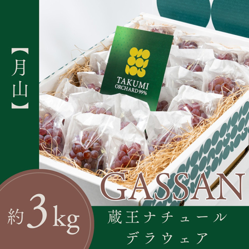 【月山 GASSAN】蔵王ナチュールデラウェア 山形のデラウエア TAKUMI ORCHARD 99% 贈答 L以上 約3kg 山形 山形県 山形市 フルーツ 果物 くだもの 送料無料 ぶどう 葡萄 ブドウ デラウェア 減農薬【令和8年産先行予約】FS25-114 2394960 - 山形県山形市