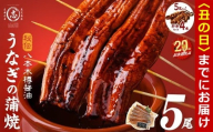 [丑の日までに配送][志布志市制20周年記念][数量限定]国産 八本木樽鰻の蒲焼(160g以上×5尾) うなぎ肝串4本セット うなぎ 鰻 ウナギ 5尾 国産 九州産 蒲焼き かばやき 冷凍 うな丼 うな重 ひつまぶし タレ 山椒 ランキング 人気 b5-192-km-us