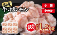 訳あり牛ホルモン 小腸 1.2㎏ 小分け200g×6 国産 ホルモン もつ鍋 焼肉用 国産牛  牛モツ  コラーゲン＜1-300＞