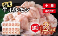 訳あり牛ホルモン 小腸 2㎏ 小分け200g×10 国産 ホルモン もつ鍋 焼肉用 国産牛  牛モツ  コラーゲン＜1.4-37＞