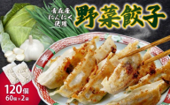 野菜餃子 120個セット (60個×2袋) 冷凍 | 餃子 肉 ギョウザ  冷凍食品 お取り寄せ 点心 おかず おつまみ 惣菜 詰め合わせ 簡単調理 セット 中華料理 ヘルシー 野菜 群馬県 前橋市